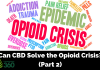 Is CBD The Solution to the Opioid Epidemic?