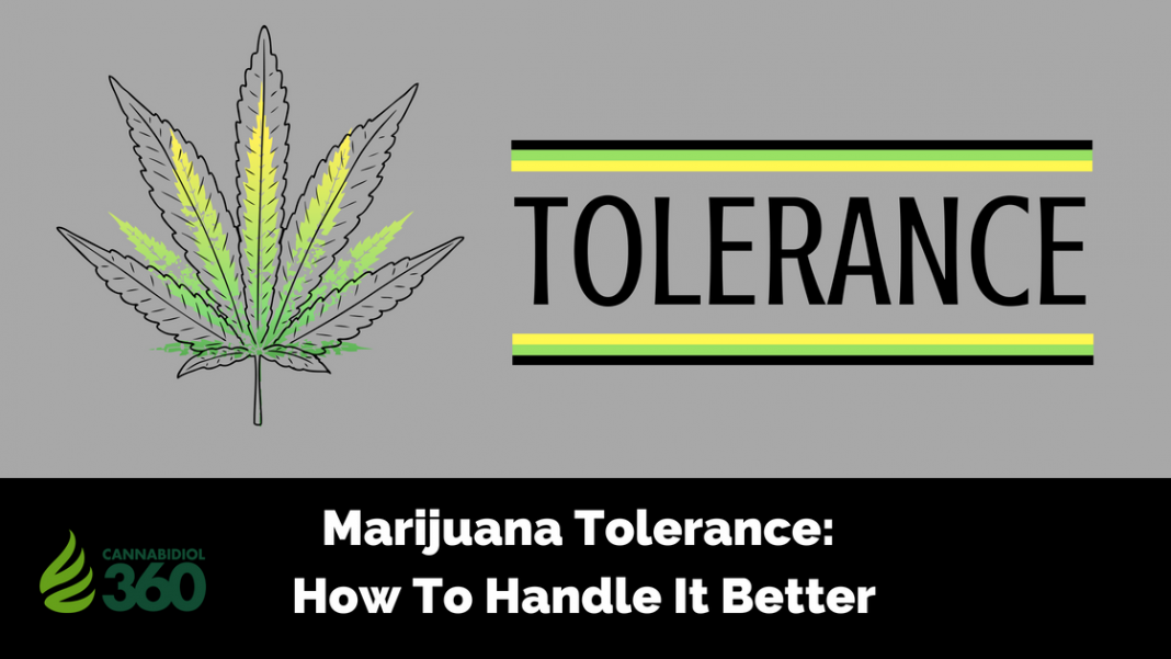 Marijuana Tolerance: How To Handle It Better