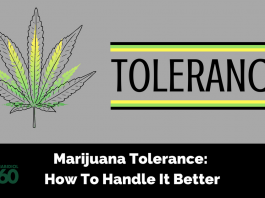 Marijuana Tolerance: How To Handle It Better