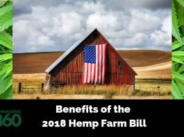 Benefits of the 2018 Hemp Farm Bill