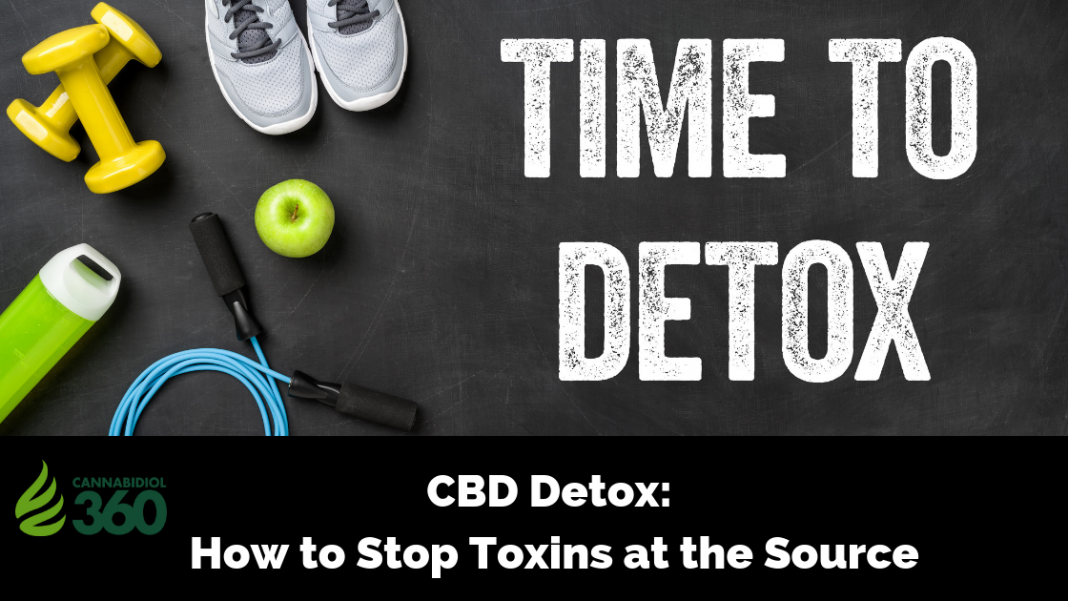 CBD Detox: How to Stop Toxins at the Source