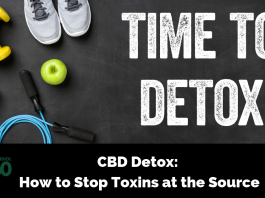 CBD Detox: How to Stop Toxins at the Source