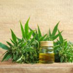 CBD as natural medicine