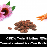 CBD’s Twin Sibling What Cannabimimetics Can Do For You