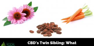 CBD's Twin Sibling: What Cannabimimetics Can Do For You