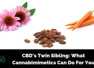 CBD's Twin Sibling: What Cannabimimetics Can Do For You