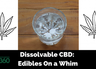 Dissolvable CBD Edibles On a Whim