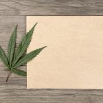 Hemp Derived Paper