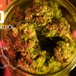 How to obtian high quality CBD