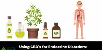 Using CBD's for Endocrine Disorders