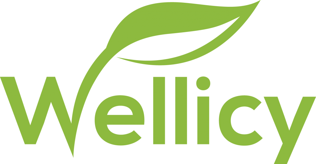 Wellicy Logo