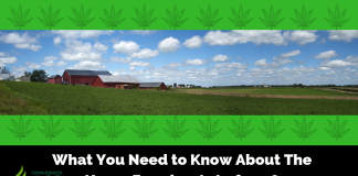 What You Need to Know About The Hemp Farming Act of 2018
