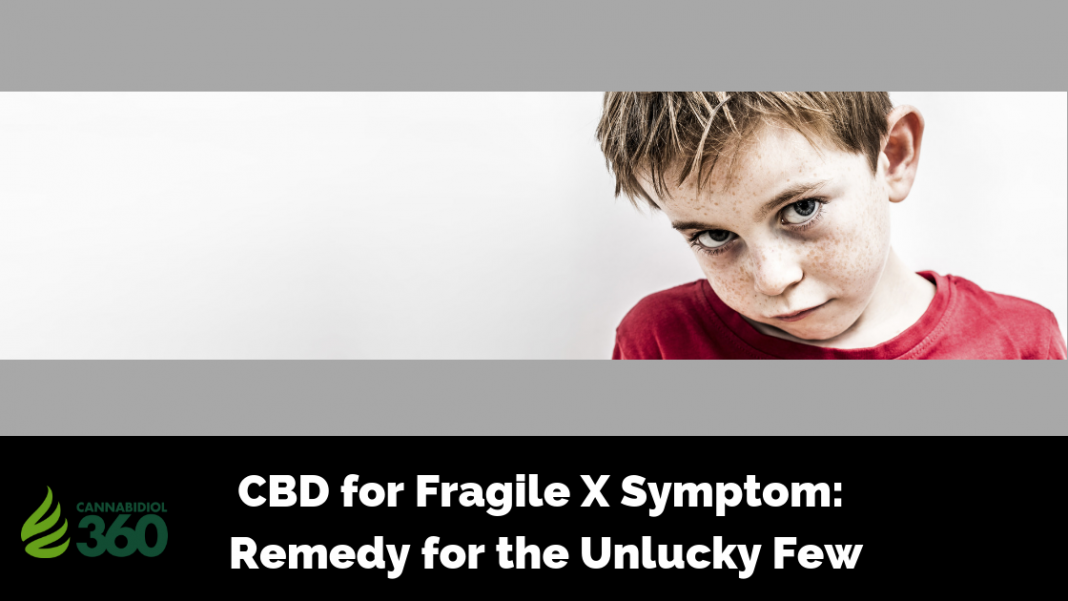 CBD for Fragile X Symptom: Remedy for the Unlucky Few