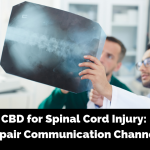 CBD for Spinal Cord Injury_ Repair Communication Channels