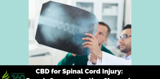 CBD for Spinal Cord Injury: Repair Communication Channels