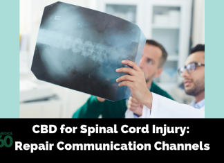 CBD for Spinal Cord Injury: Repair Communication Channels