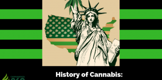 History of Cannabis: From Toxin to Flummoxing Benefits