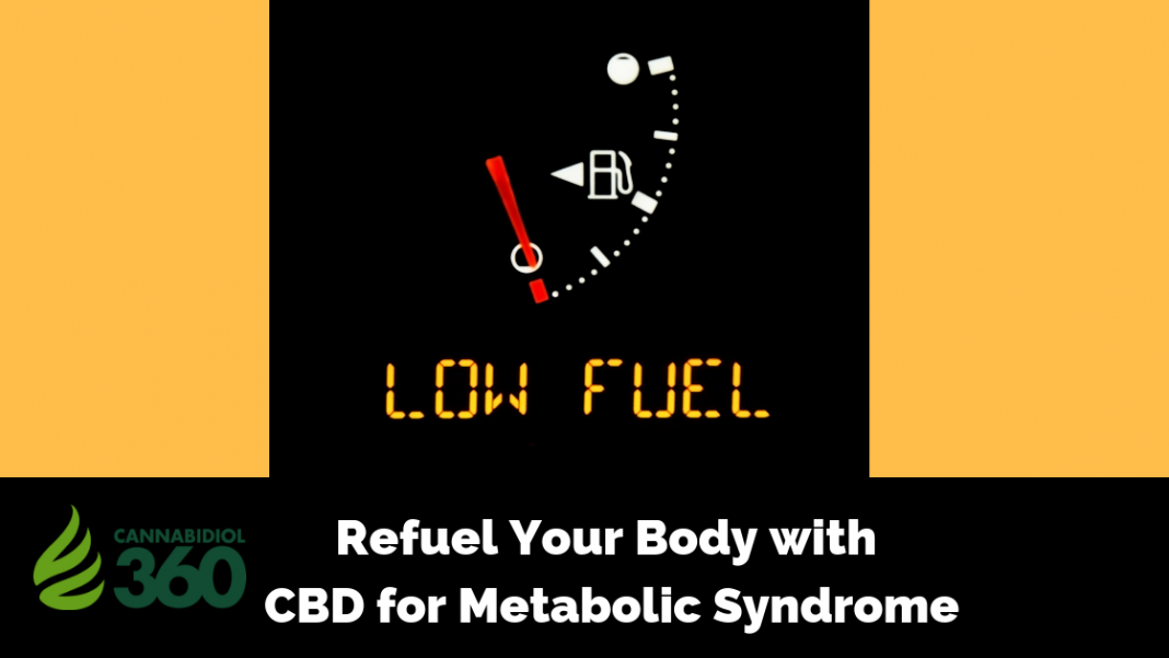 Refuel Your Body with CBD for Metabolic Syndrome