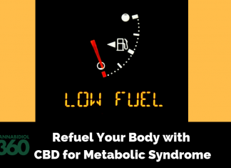 Refuel Your Body with CBD for Metabolic Syndrome