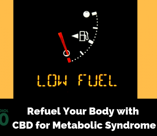 Refuel Your Body with CBD for Metabolic Syndrome