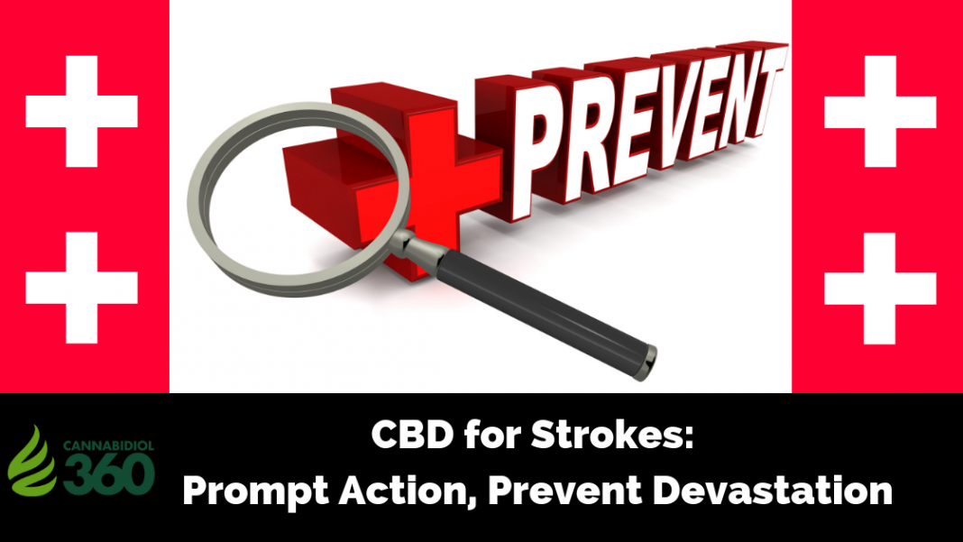 CBD for Strokes: Prompt Action, Prevent Devastation