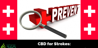 CBD for Strokes: Prompt Action, Prevent Devastation