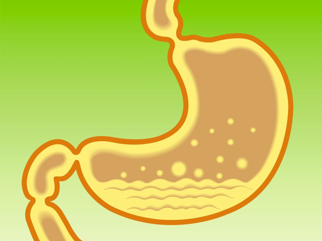 Digestive System Acidity