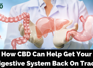 How CBD Can Help Get Your Digestive System Back On Track