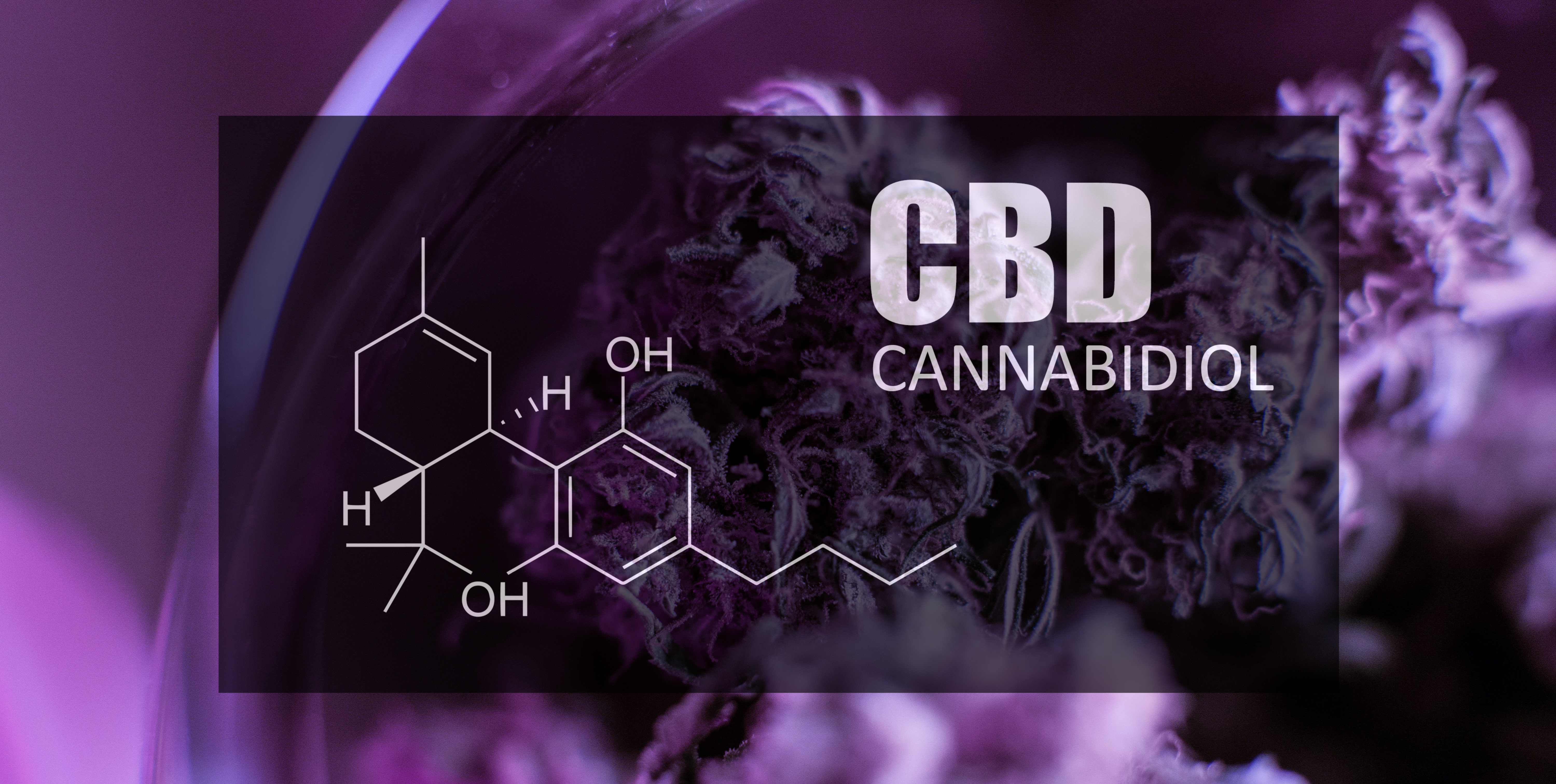 What Is Cbd Cannabidiol 360