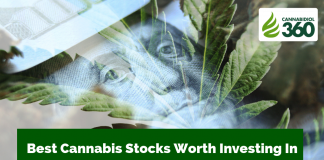 Best Cannabis Stocks Worth Investing In