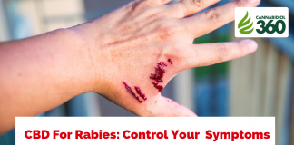 CBD For Rabies: Control Your Symptoms