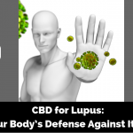 CBD for Lupus_ Your Body’s Defense Against Itself