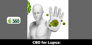 CBD for Lupus: Your Body’s Defense Against Itself