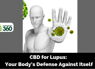 CBD for Lupus: Your Body’s Defense Against Itself