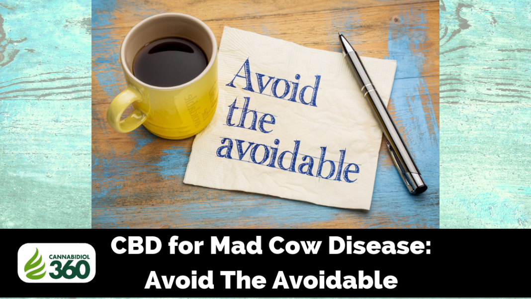 CBD for Mad Cow Disease: Avoid The Avoidable