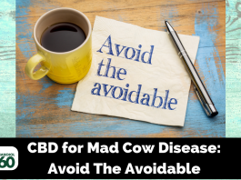 CBD for Mad Cow Disease: Avoid The Avoidable