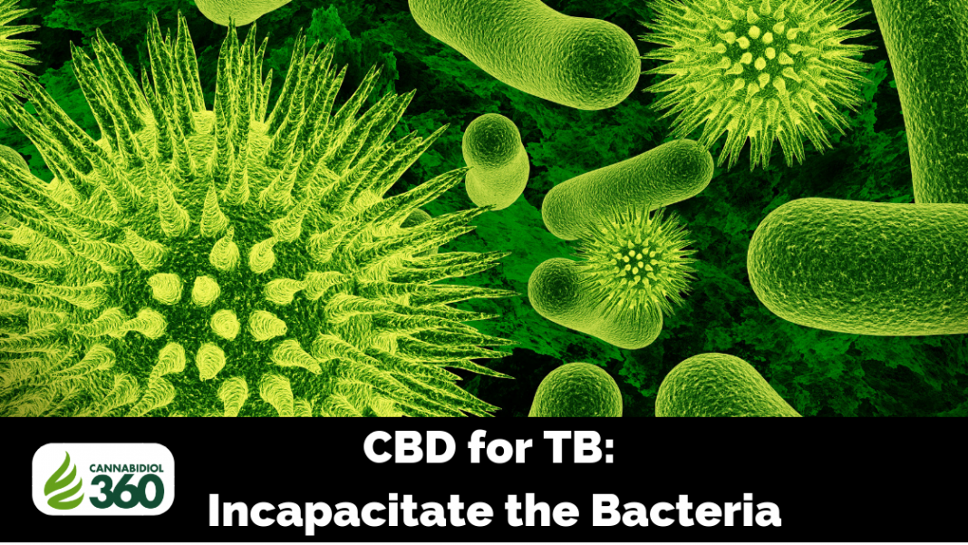 CBD for TB: Incapacitate the Bacteria