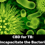 CBD for TB: Incapacitate the Bacteria