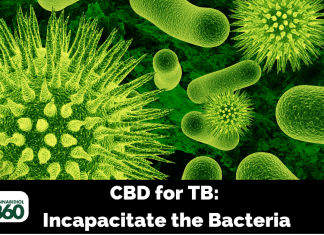 CBD for TB: Incapacitate the Bacteria