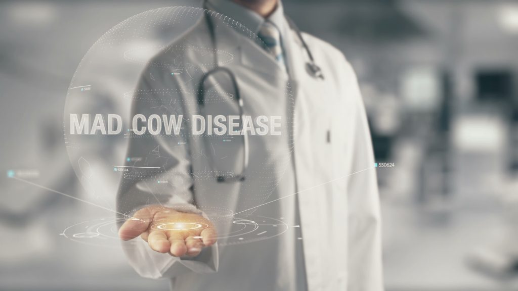 Human Mad Cow Disease
