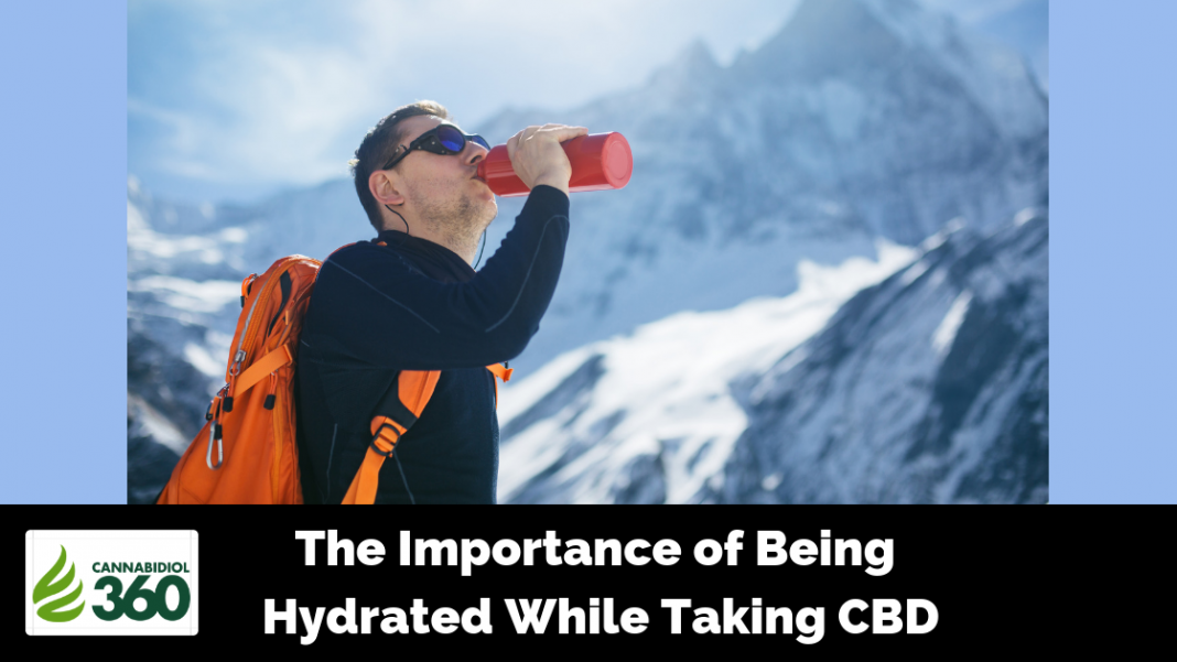 The Importance of Being Hydrated While Taking CBD