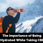 The Importance of Being Hydrated While Taking CBD