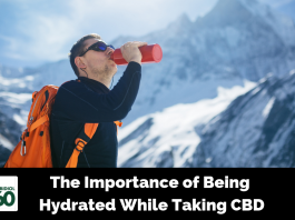 The Importance of Being Hydrated While Taking CBD