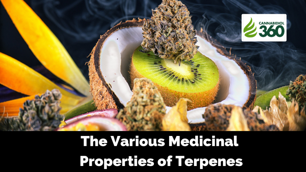 The Various Medicinal Properties of Terpenes