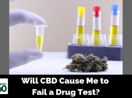 Will CBD Cause Me to Fail a Drug Test?
