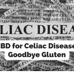 CBD for Celiac Disease_ Goodbye Gluten