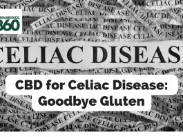 CBD for Celiac Disease: Goodbye Gluten