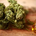 CBD for Pancreatic Cancer Symptoms