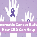 Pancreatic Cancer Battle_ How CBD Can Help