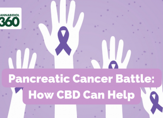 Pancreatic Cancer Battle: How CBD Can Help